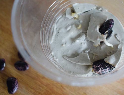 Bohnenstarkes Experiment!