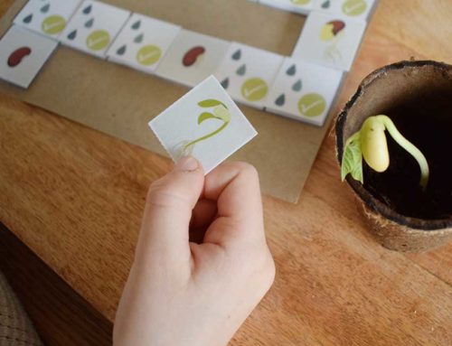 Oles gigantische Feuerbohne