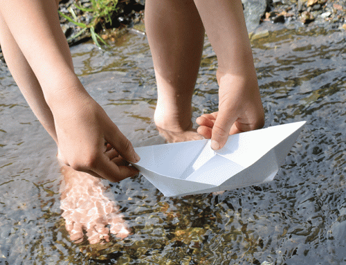 Quartalswechsel: Wasser erleben – Im Fluss des Sommers