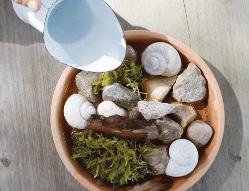 Tipp: Für die durstigen Gäste im Garten