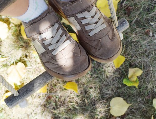 Quartalswechsel: Der Herbst steht auf der Leiter